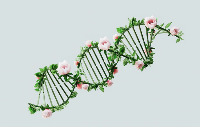 Naukowcy odkryli, że mutacja genu NOD2 stanowi czynnik ryzyka choroby Leśniowskiego-Crohna