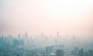 Wpływ smogu na skórę i podstawowe zasady jej ochrony przed zanieczyszczeniami powietrza